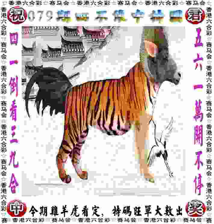 >77777788888王中王